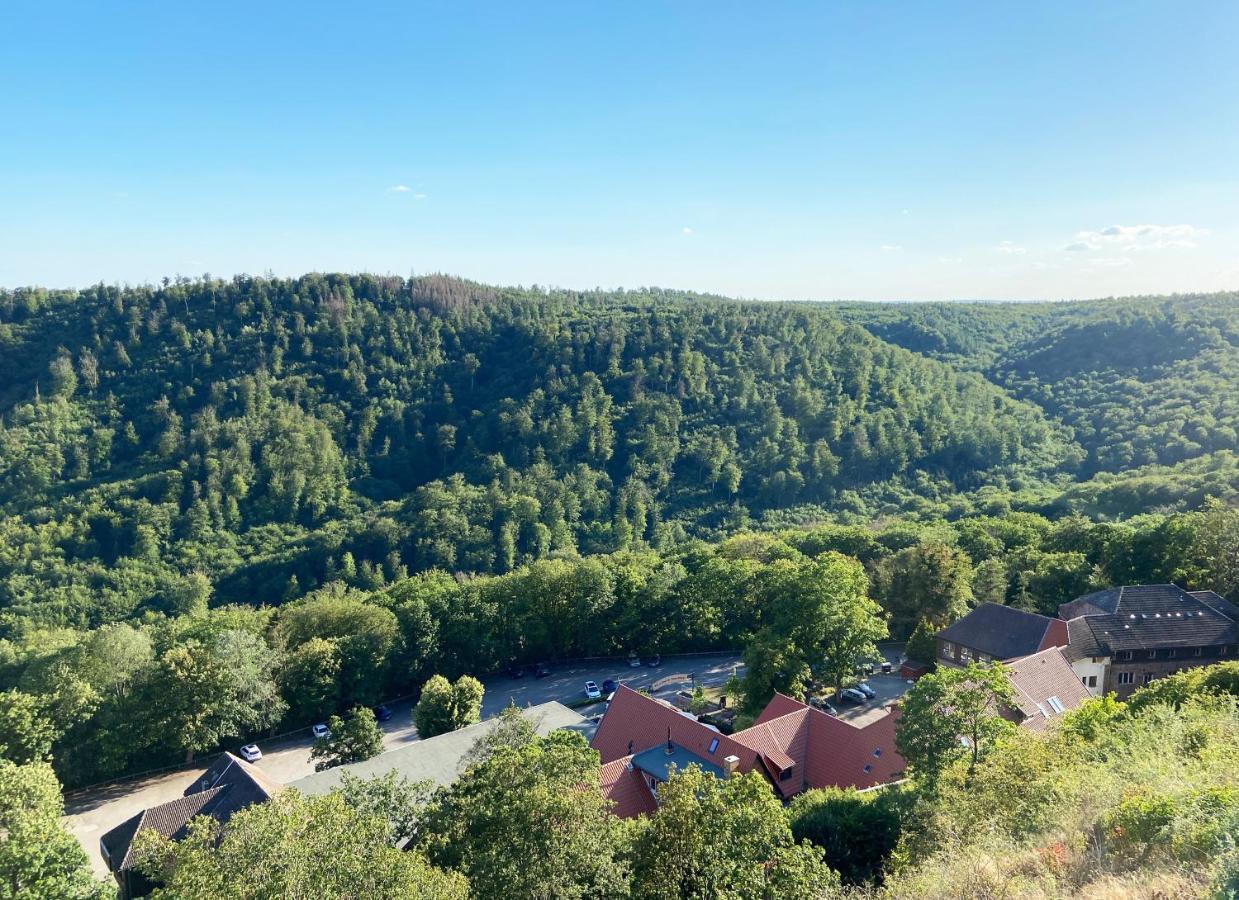 Burghof Kyffhaeuser Bad Frankenhausen Exterior photo